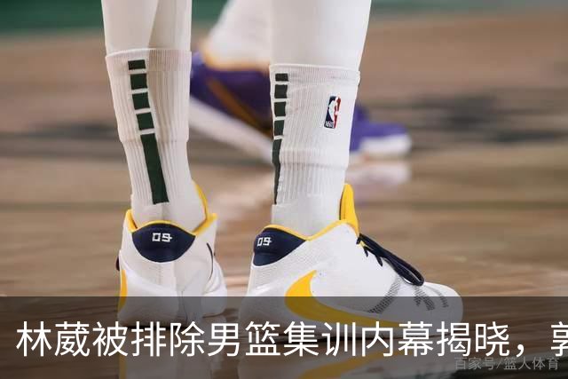 林葳被排除男篮集训内幕揭晓，郭士强回京总结工作，姚明与斯科拉重聚
